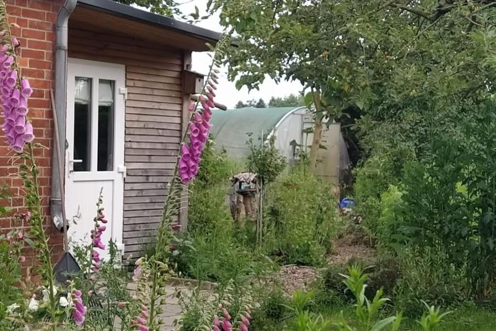 Fairschlafen - Gartenwohnung Bücken Extérieur photo